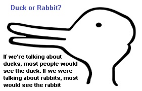 duck or rabbit.jpg